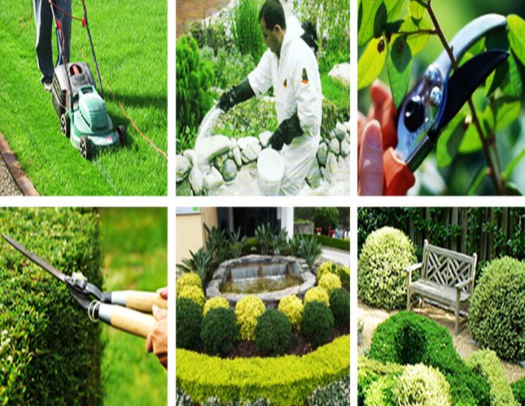 Bahçe Bakım Temizlik