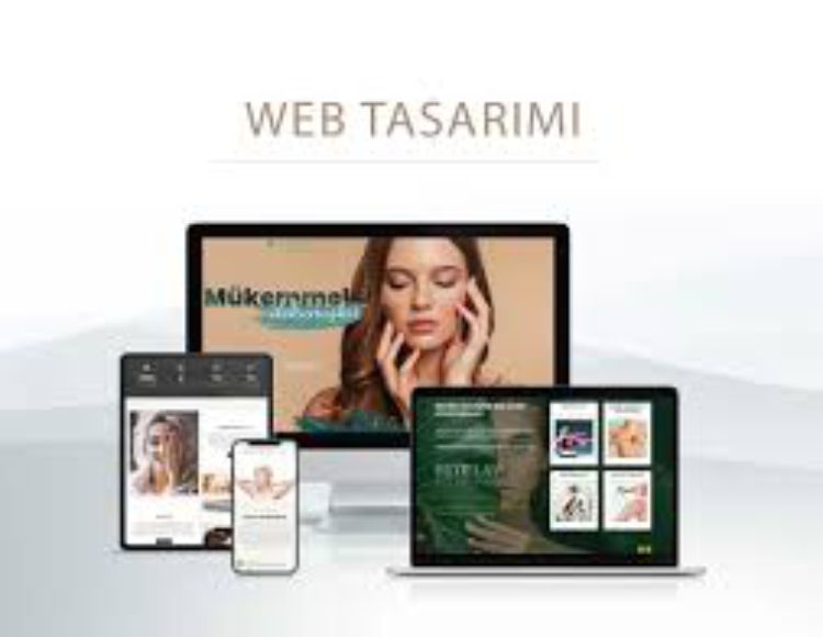 Web Site Tasarımı