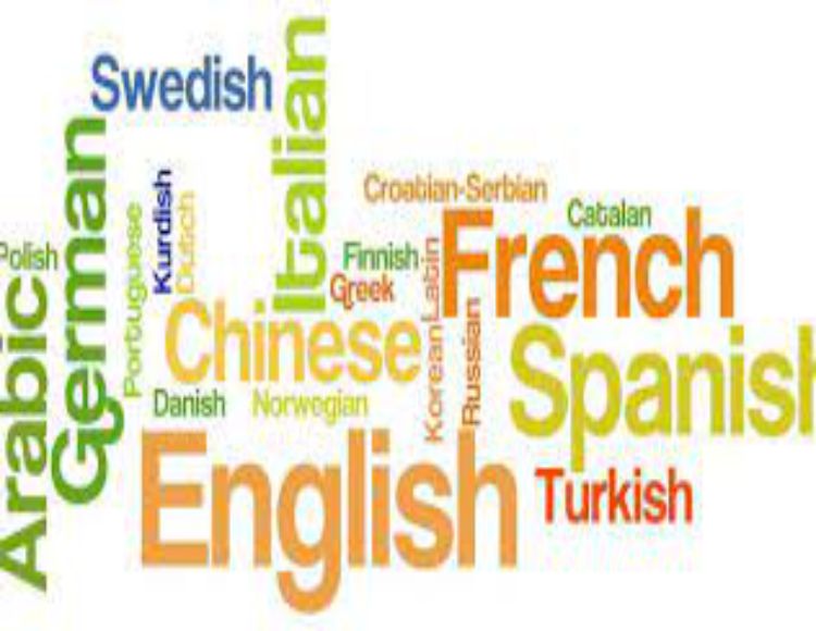 İngilizce / Almanca / Yabancı Dil